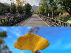 -太湖龙之梦