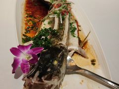 清蒸乔尔泰鱼-新疆兵团食府清真(马连道店)