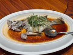 -顺德了能馆(虎门店)