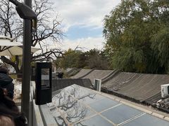 -四喜小胖·北京涮肉(五道营店)