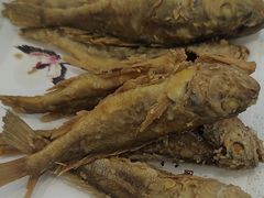 -鲁西南老厨子·特色鲁菜(经一纬五店)