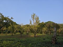 -同里国家湿地公园