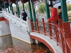 -西海子公园