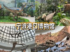 -中国港口博物馆
