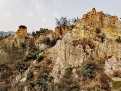 -彩色沙林风景区