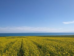 -青海湖国家重点风景名胜区