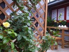 庭院-203密室逃脱体验馆·聚会·亲子·团建(中关村店)