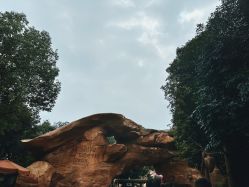 -翱翔飞越地平线