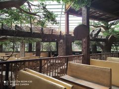 -长鹿旅游休博园