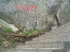 -王顺山国家森林公园