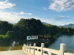 -飞来湖湿地公园