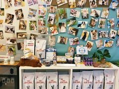 -爱妮康宠物医院·干细胞免疫细胞·肿瘤·心脏(张江店)