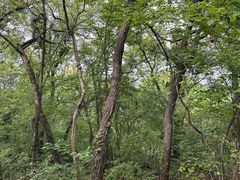 -南山风景名胜区