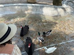 -珠海海泉湾神秘岛亲子乐园