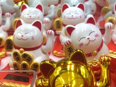 -万达广场(龙湾店)