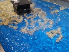 -盒马鲜生(和谐广场店)