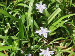 -唐城墙遗址公园