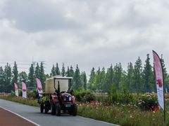 -上海长兴岛郊野公园