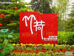 -紫竹院公园冰场