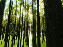 -青山湖景区