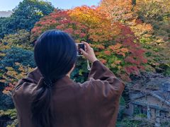 -月光园游月山庄
