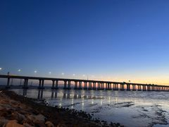 -宝安西湾红树林湿地公园