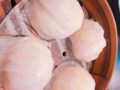 添运来虾饺皇-添运来(茶园奥园广场店)