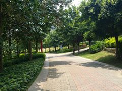 -飞来湖湿地公园