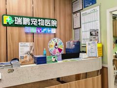 -瑞鹏宠物医院·夜间急症·心超·猫科(祖庙分店)