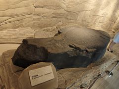 -白鹤梁水下博物馆