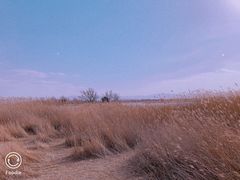 -野鸭湖国家湿地公园