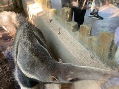 -长鹿旅游休博园
