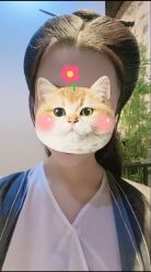 点击看大图 -盘子女人坊古装写真摄影(天津总店)