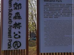 -东郊湿地公园