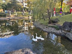 -宁波九龙湖开元度假村