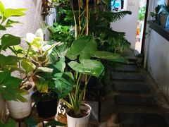 -About Bistro關於·泰式家庭料理