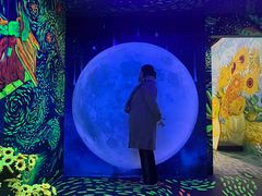 -梵高星空艺术馆(北京旗舰店)