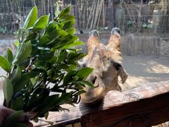 -长鹿旅游休博园