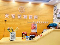 -天宠宠物医院24小时·急重症诊疗中心·全科·腔镜特色(和平分院)