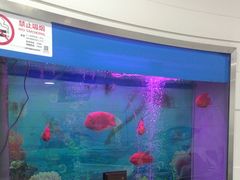 -雅悦齿科(顾村公园店)