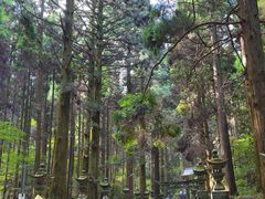 -上色见熊野座神社