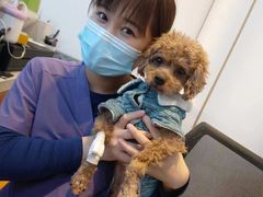 -萌兽医馆·绝育·24小时内科·宠物医院(德胜店)
