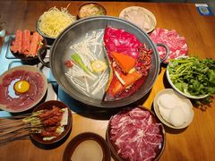 -阳阳老火锅(小南门店)