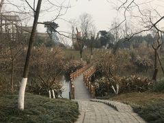 -桤木河湿地公园