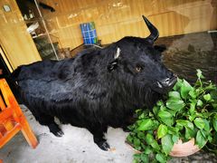 -许府牛火锅(信义坊总店)