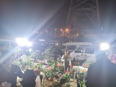 -中环花鸟鱼虫市场