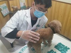 -瑞派宠物医院·24h·骨外科·皮肤科·全科宠物医疗转诊中心(沈阳浑南院)