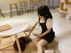 -Heymao猫咖.咖啡厅(东门店)