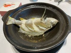 -半岛宴·湛江精品菜(蛇口广场店)