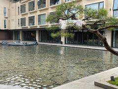 -水·餐厅